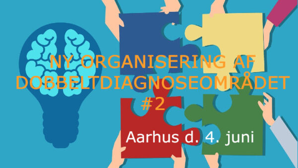 Ny organisering af dobbeltdiagnoseområdet #2